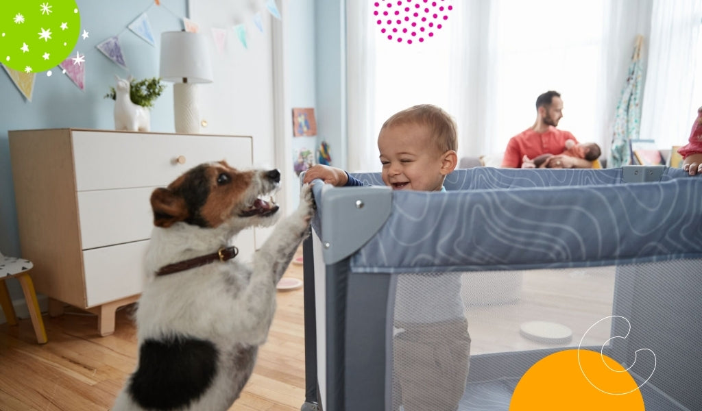 toddler eating in high chair
